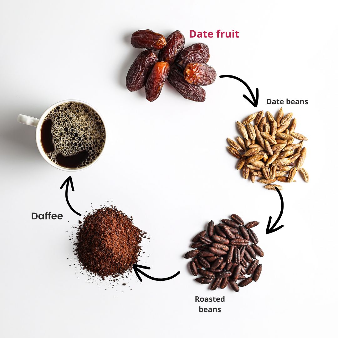 Een cyclus van Daffee productie gedroogde dadels, dadelbonen, geroosterde bonen en gemalen Daffee naast een kopje bereide Daffee.